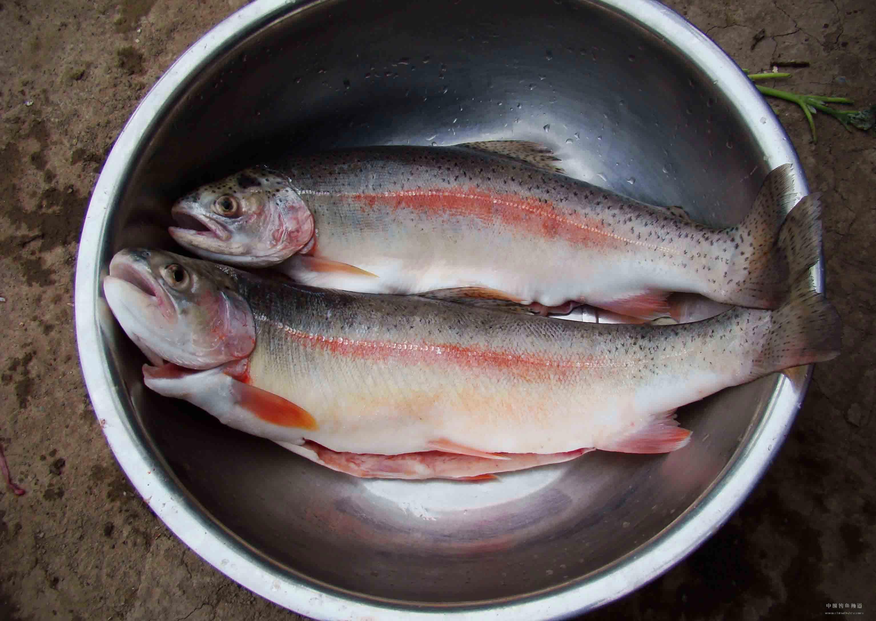 顿楞蹦鱼怎么做_顿楞蹦鱼的做法_豆果美食