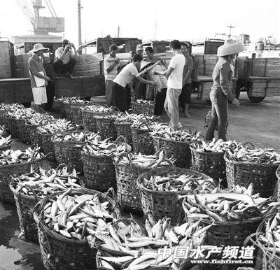水产药品品牌排行_东阿阿胶蝉联健康产业药品品牌价值榜桂冠