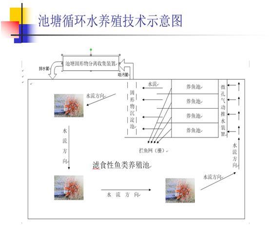 池塘工程化循环水养殖模式